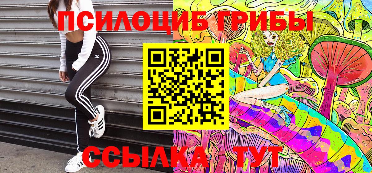 Галлюциногенные грибы мицелий Боровичи