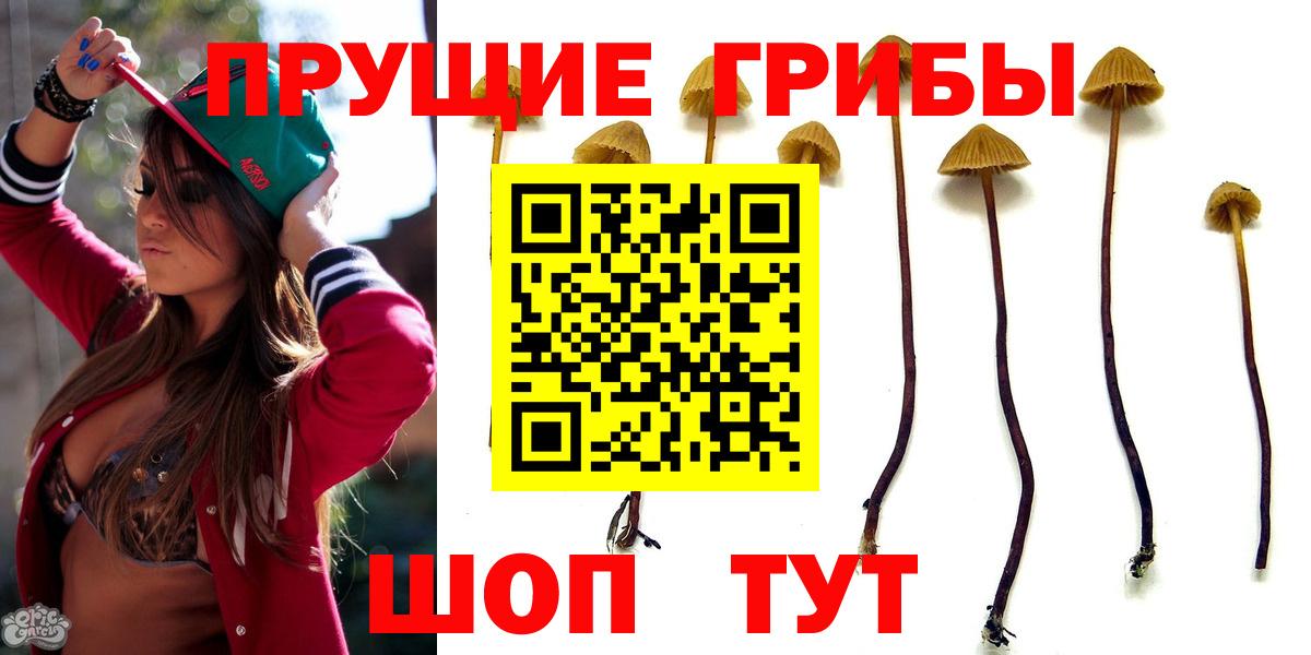 Псилоцибиновые грибы мицелий  Вход с VPN  Галлюциногенные грибы Magic Shrooms  Боровичи 